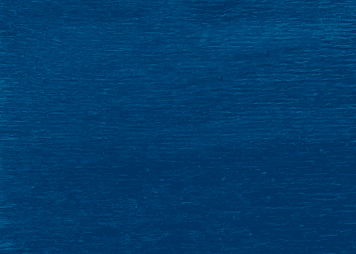 Rutland Plywood - Veneer - Blue