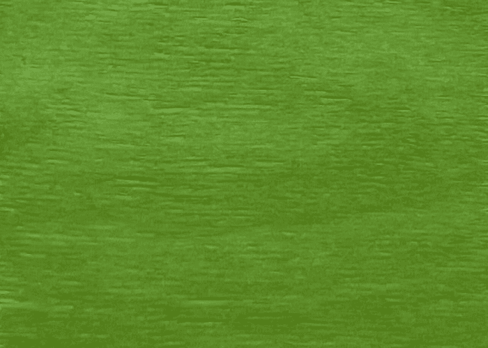 Rutland Plywood - Veneer - Lime Green